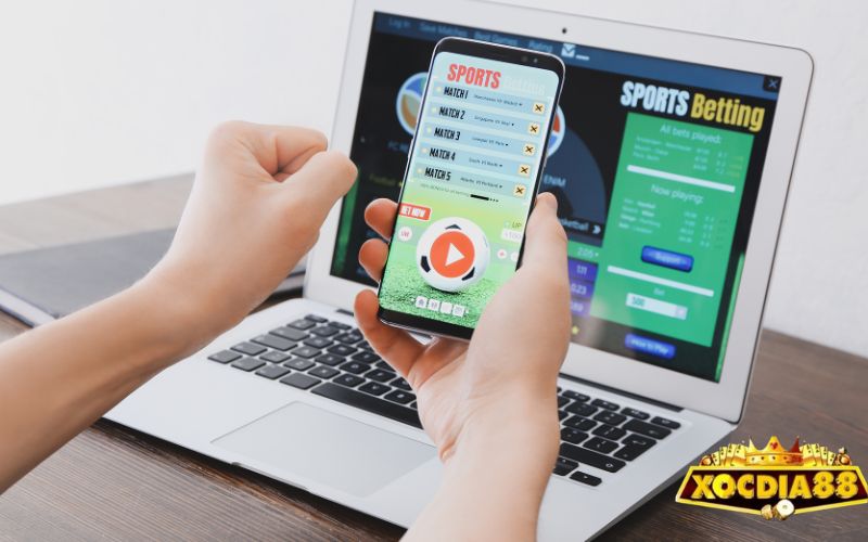 Khám phá các sảnh cá cược hấp dẫn tại Xocdia88