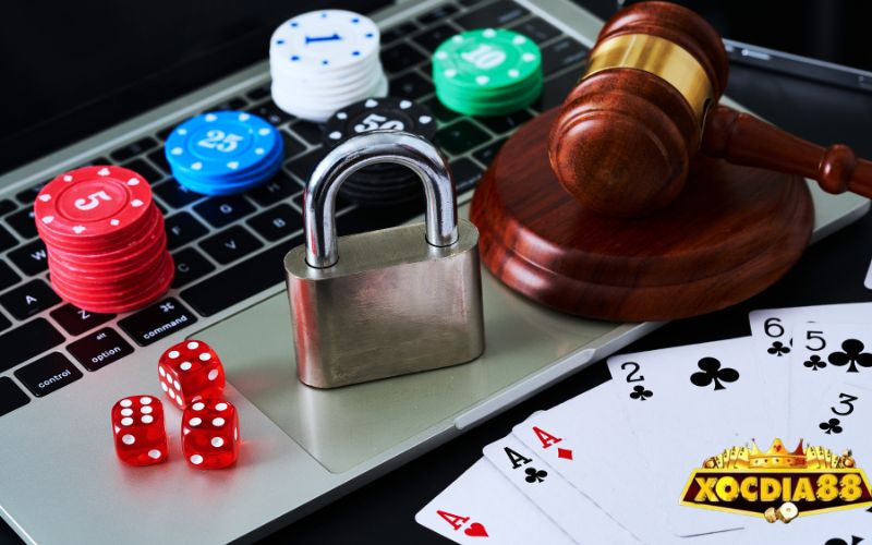 Tầm quan trọng của chính sách miễn trách nhiệm Xocdia88